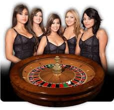 Tutorial bermain Qiu Qiu di togel158